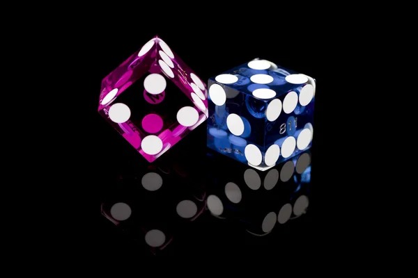 uno4d login Bingo